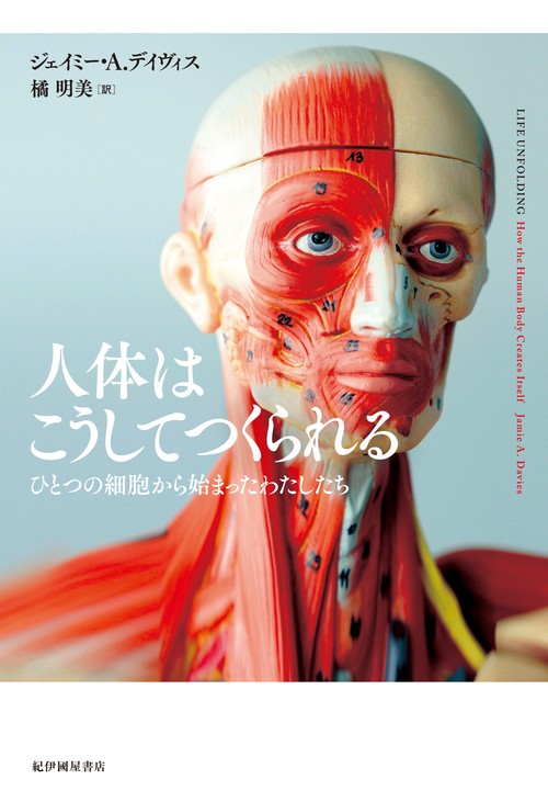 人体はこうしてつくられる ひとつの細胞から始まったわたしたち