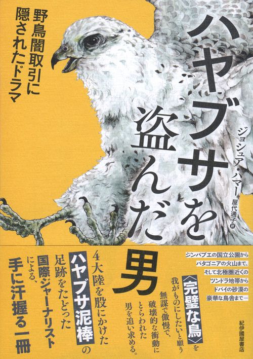 ハヤブサを盗んだ男野鳥闇取引に隠されたドラマ