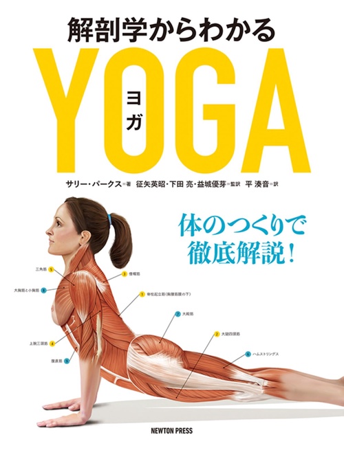 解剖学からわかるヨガ 体のつくりで徹底解説！