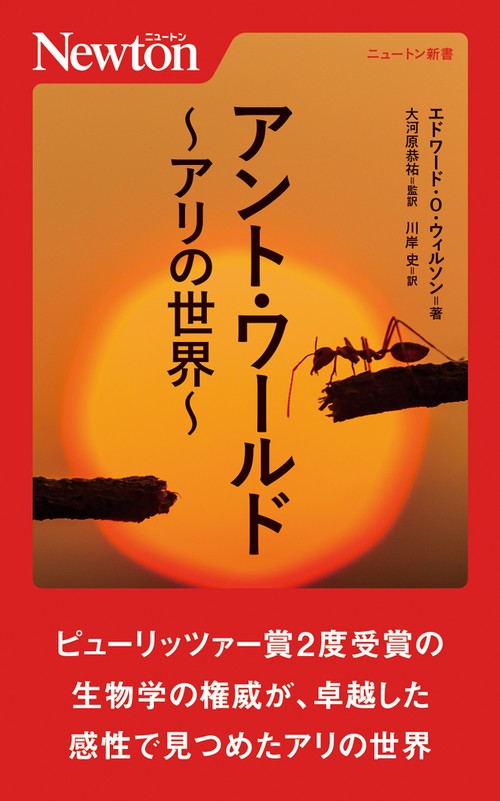 アント・ワールド アリの世界