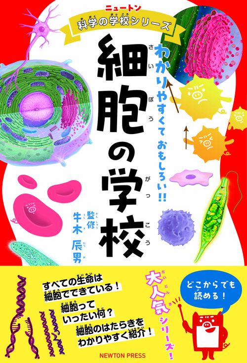 ニュートン科学の学校シリーズ 細胞の学校