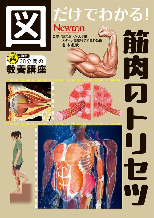 図だけでわかる！ 筋肉のトリセツ