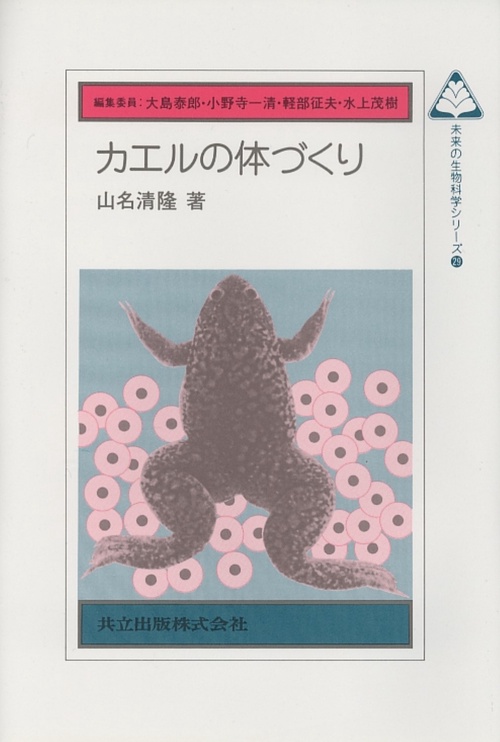 カエルの体づくり