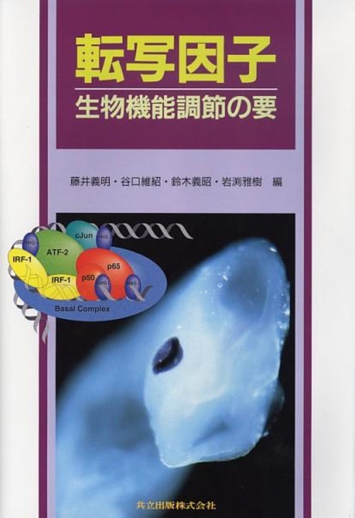 転写因子