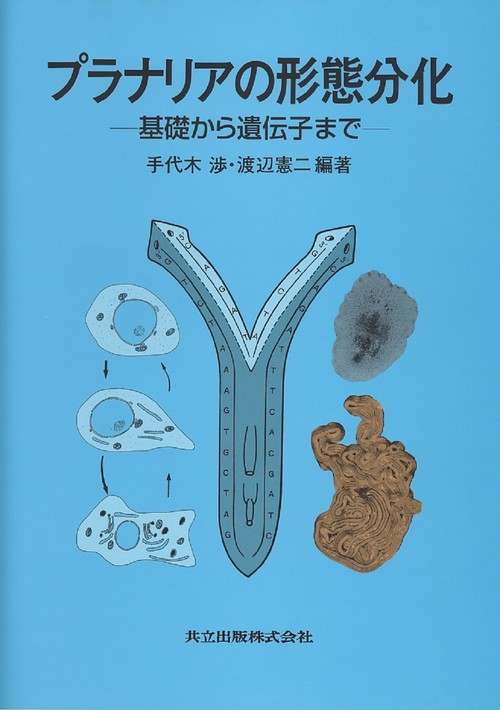 プラナリアの形態分化