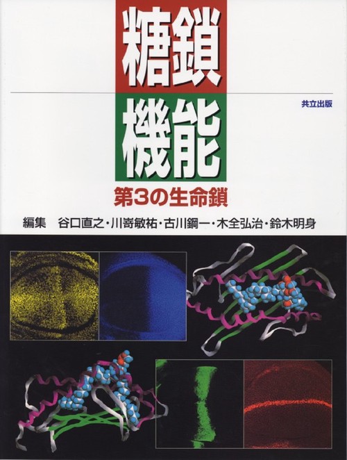 糖鎖機能