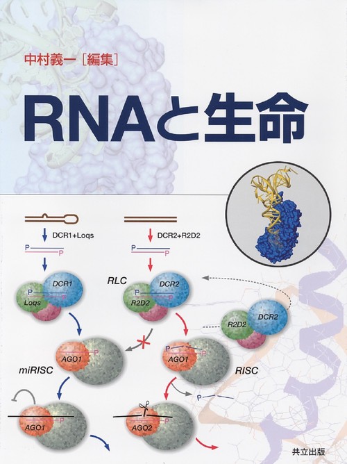 RNAと生命