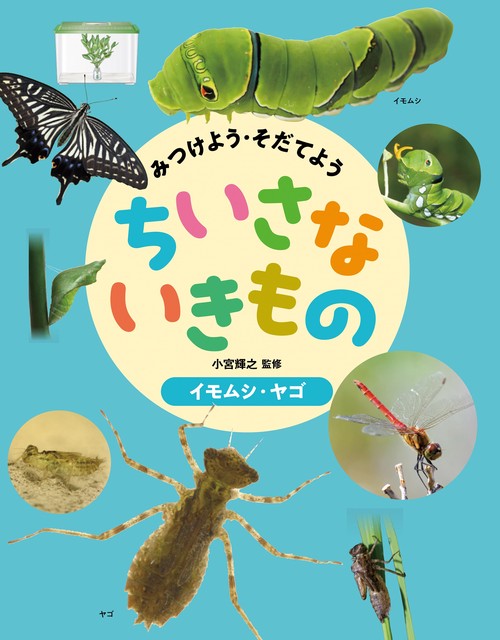 イモムシ・ヤゴ