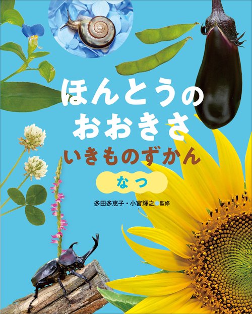 なつ