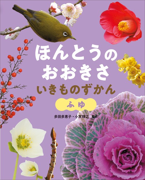 ふゆ