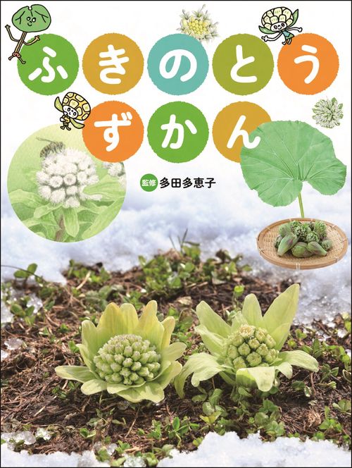 ふきのとう ずかん