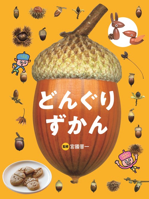 どんぐり ずかん