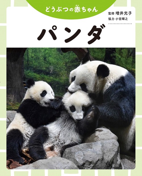 パンダ