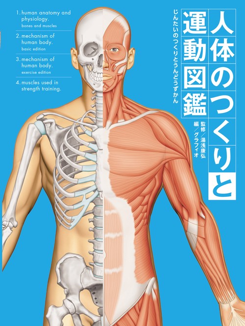人体のつくりと運動図鑑