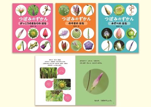 つぼみのずかん 3巻セット