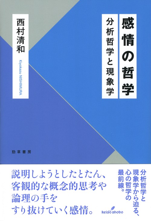 感情の哲学 分析哲学と現象学