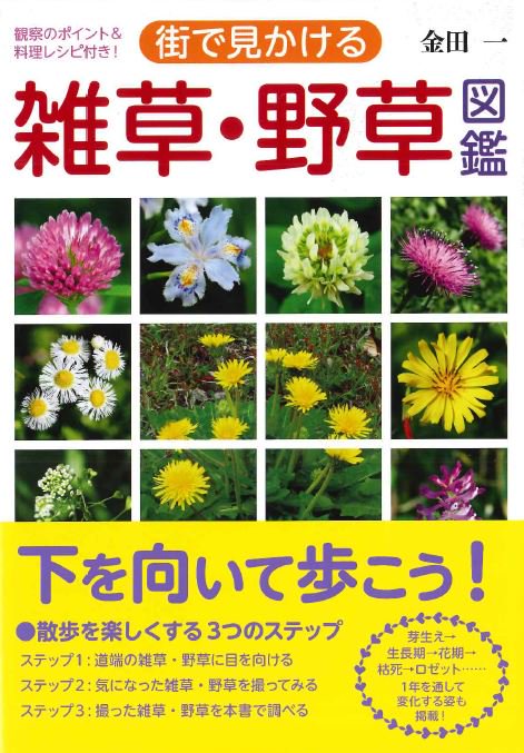 街で見かける雑草・野草図鑑 観察のポイント&料理レシピ付き!