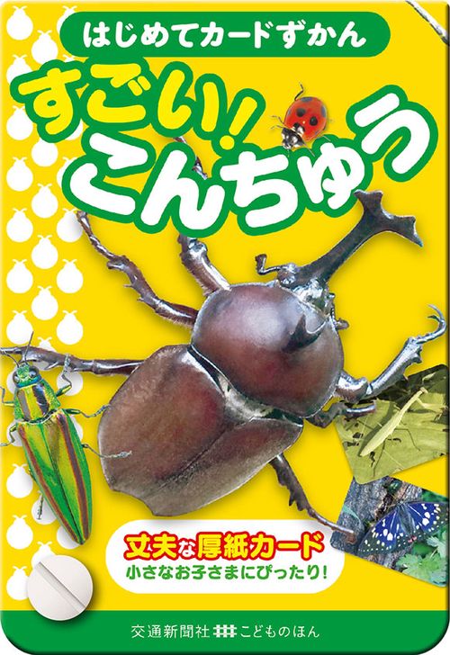 はじめてカードずかん すごい!こんちゅう