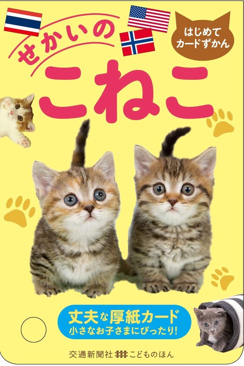 はじめてカードずかん せかいのこねこ
