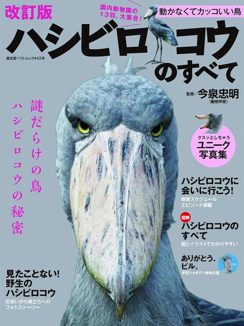 ハシビロコウのすべて 改訂版