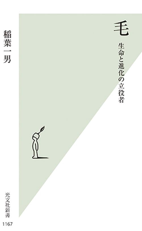 毛