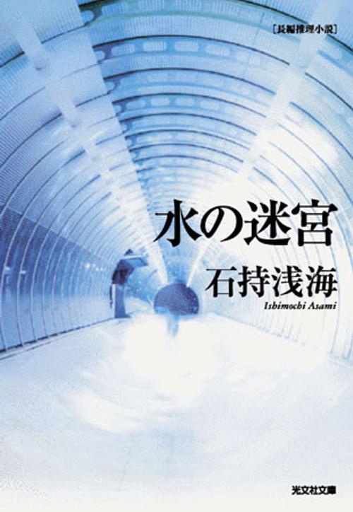 水の迷宮 長編推理小説