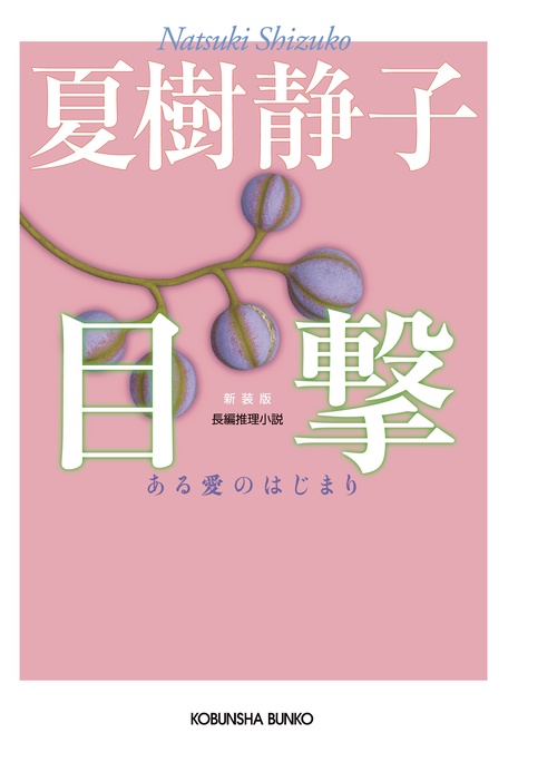 目撃 ある愛のはじまり 長編推理小説 新装版
