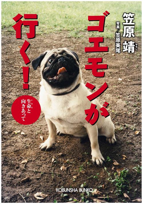 ゴエモンが行く! 生命と向きあって
