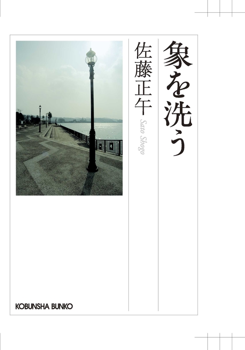 象を洗う