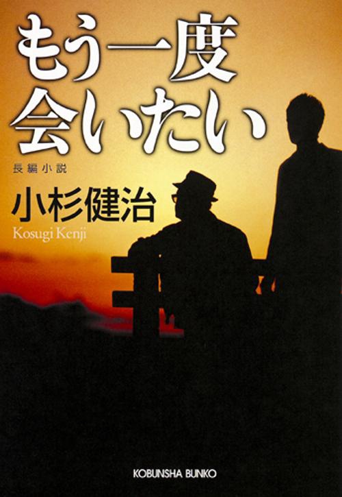 もう一度会いたい 長編小説
