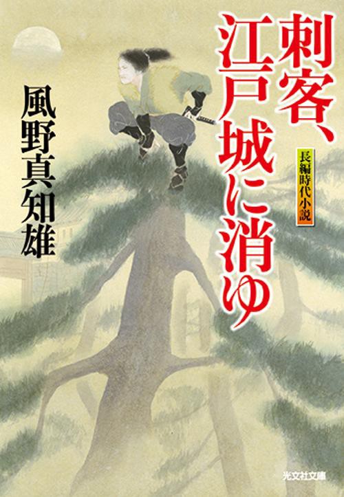 刺客、江戸城に消ゆ 長編時代小説
