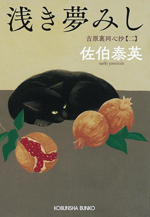 浅き夢みし 文庫書下ろし/長編時代小説 吉原裏同心抄 2