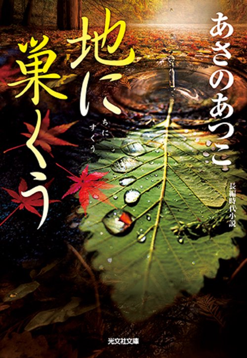 地に巣くう 長編時代小説