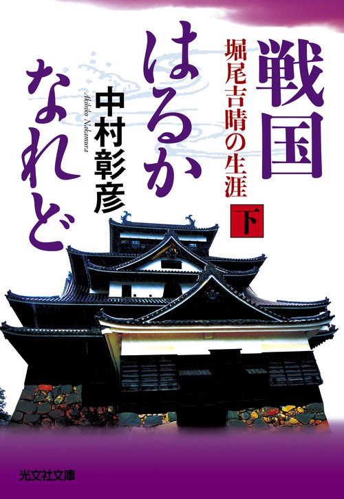 戦国はるかなれど 堀尾吉晴の生涯 下