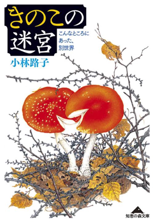 きのこの迷宮