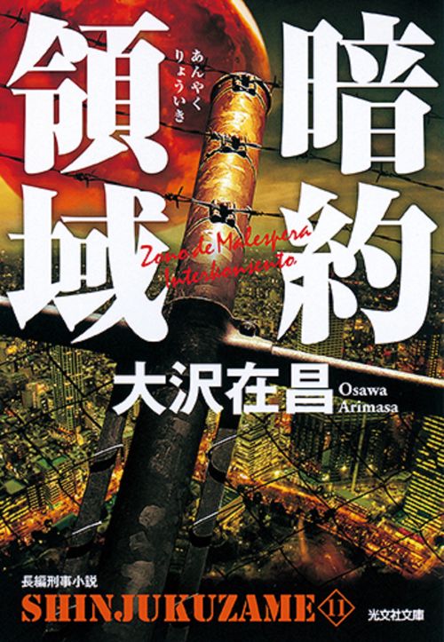 暗約領域