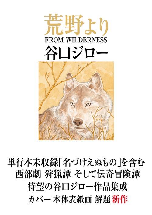 荒野より