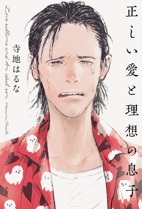 正しい愛と理想の息子