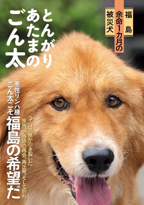 とんがりあたまのごん太 福島余命1カ月の被災犬