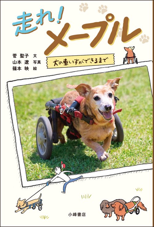 走れ!メープル 犬の車いすができるまで