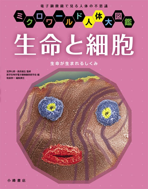 生命と細胞 生命が生まれるしくみ 電子顕微鏡で見る人体の不思議