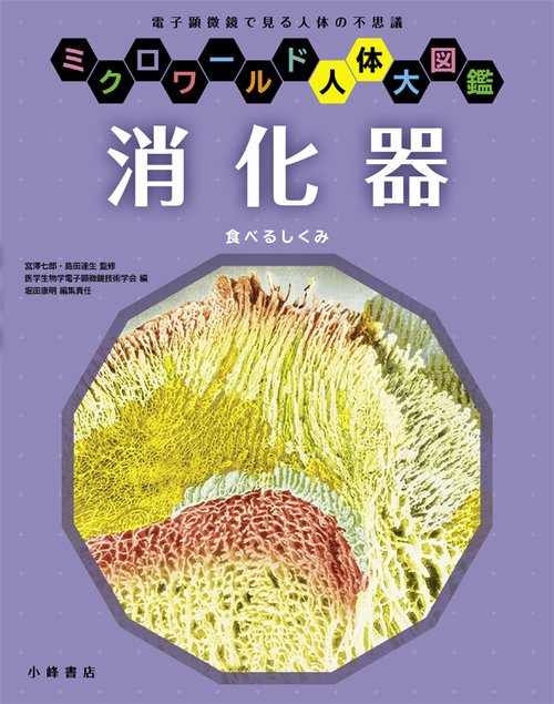 消化器 食べるしくみ 電子顕微鏡で見る人体の不思議
