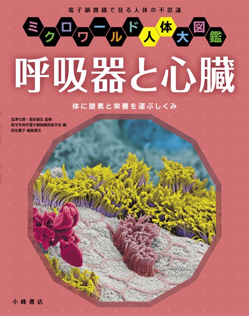 呼吸器と心臓 体に酸素と栄養を運ぶしくみ 電子顕微鏡で見る人体の不思議