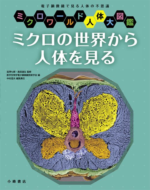ミクロの世界から人体を見る 電子顕微鏡で見る人体の不思議