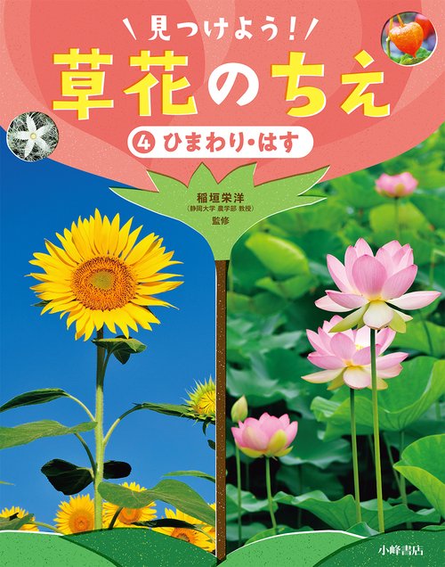 ひまわり・はす