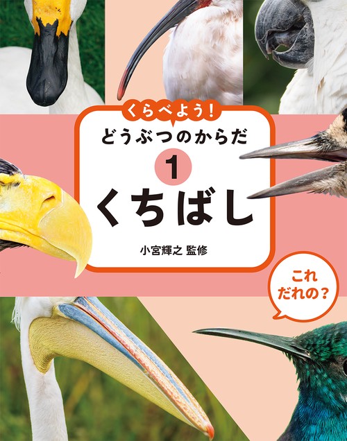 これ だれの？ くらべよう！ どうぶつのからだ　①くちばし