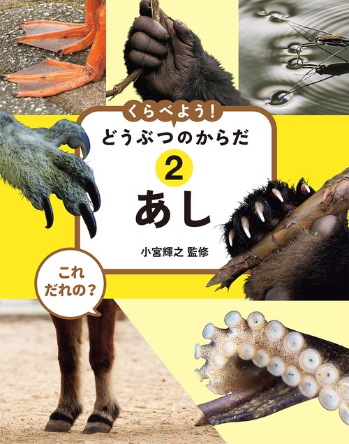これ だれの？ くらべよう！ どうぶつのからだ　②あし
