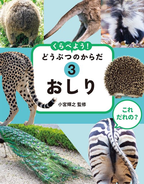 これ だれの？ くらべよう！ どうぶつのからだ　③おしり