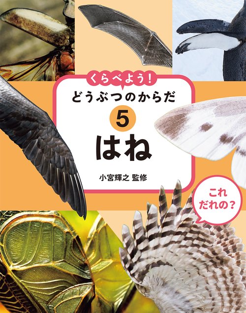 これ だれの？ くらべよう！ どうぶつのからだ　⑤はね