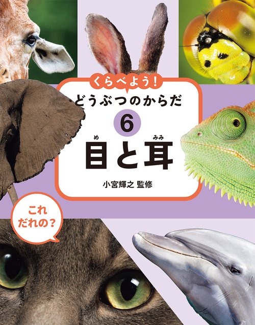 これ だれの？ くらべよう！ どうぶつのからだ　⑥目と耳